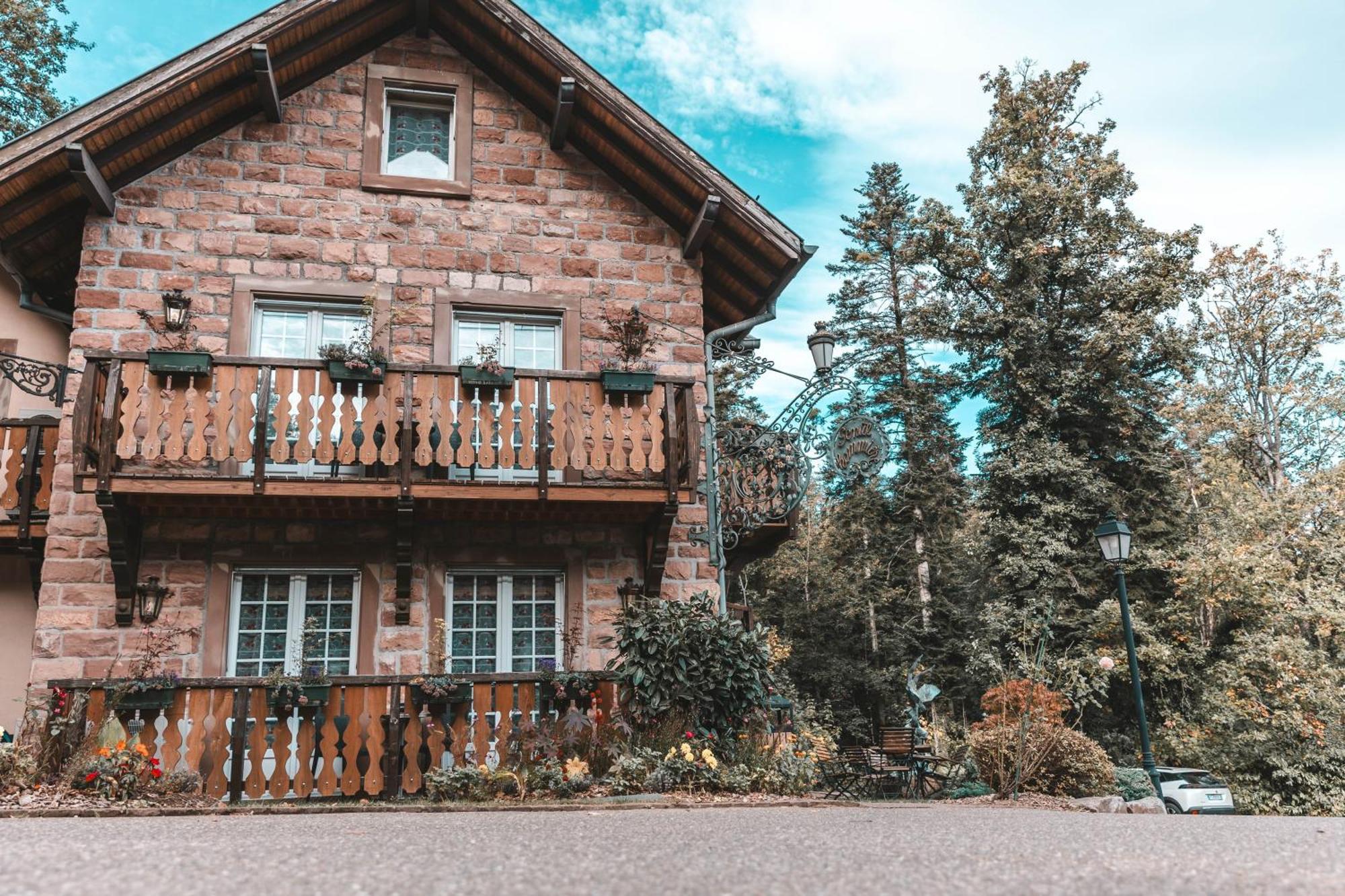 Les Violettes Hotel & Spa Jungholtz Dış mekan fotoğraf